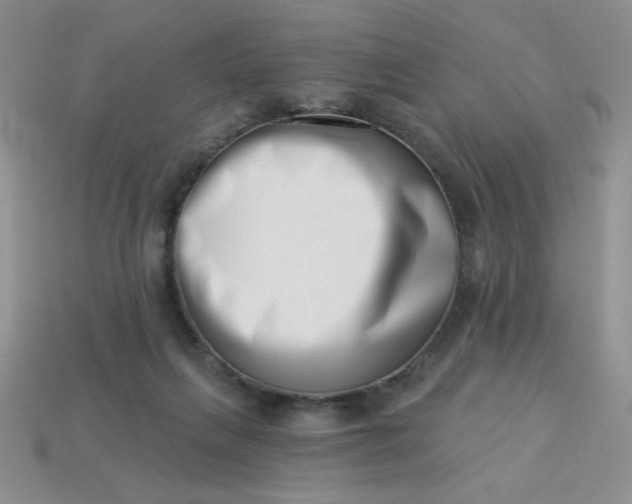 X0000113000263200909101803