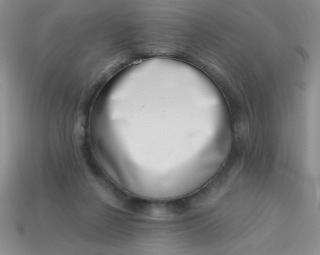 X0000113000264200909101803