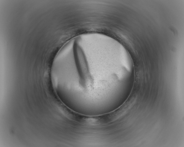 X0000113000265200909101803