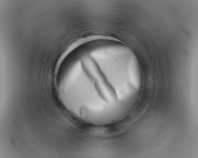 X0000113000266200909101803