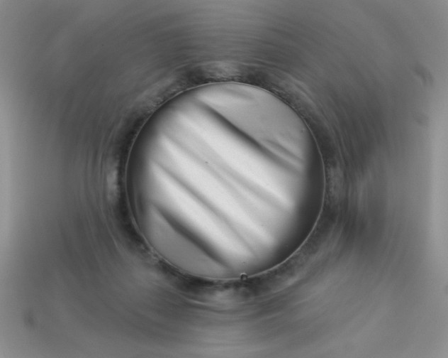 X0000113000267200909101803