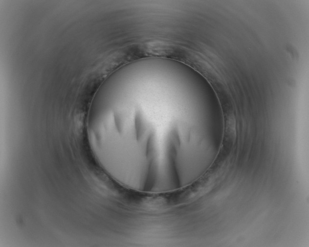 X0000113000271200909101803