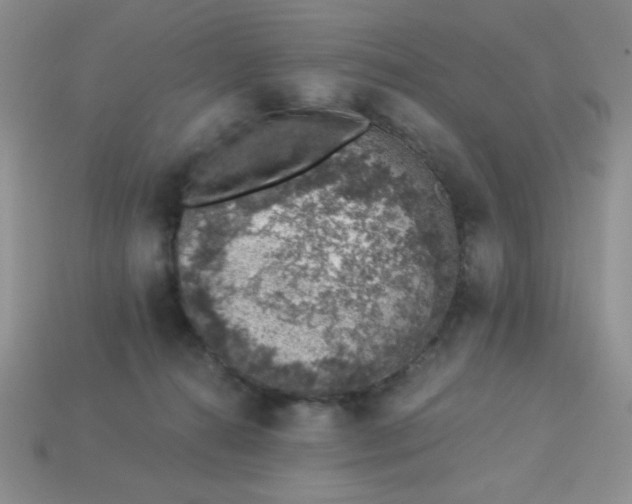 X0000113000272200909101803