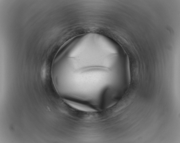 X0000113000274200909101803