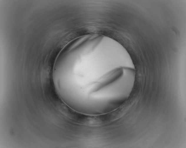 X0000113000275200909101803