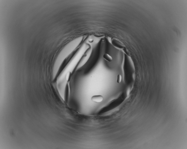 X0000113000276200909101803