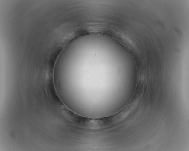 X0000113000277200909101803