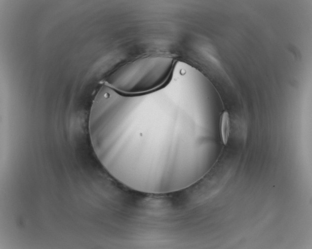 X0000113000280200909101803