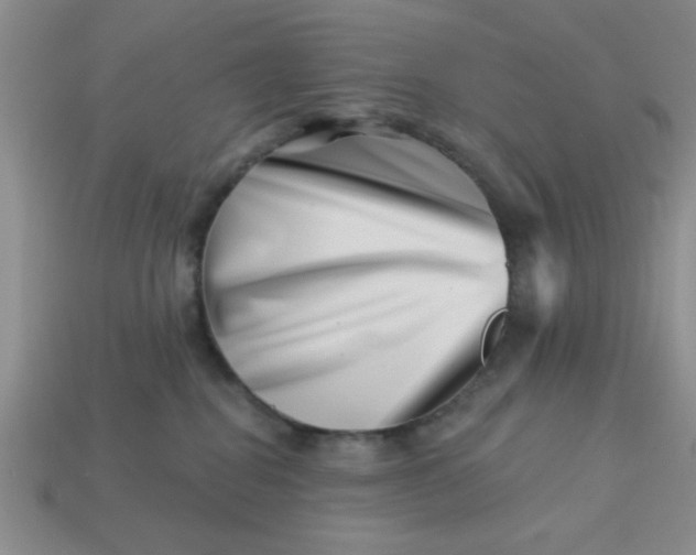 X0000113000282200909101803