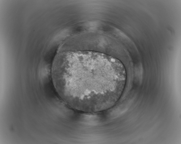 X0000113000284200909101803