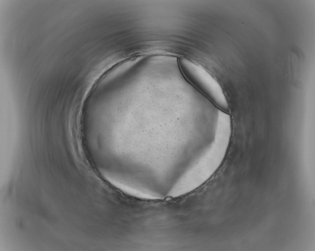 X0000113000289200909101802