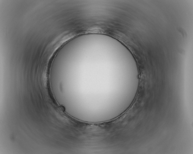 X0000113000290200909101802