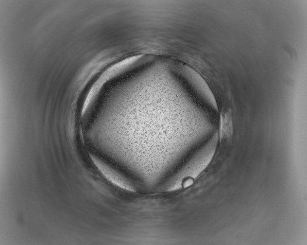 X0000113000291200909101802