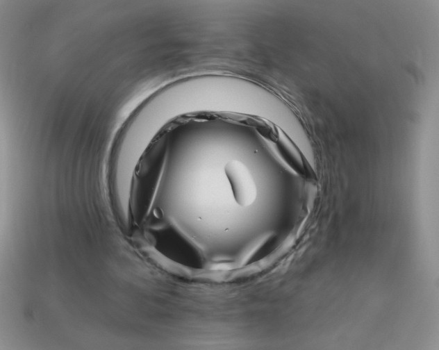 X0000113000292200909101802