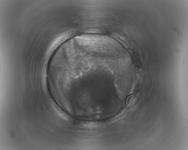 X0000113000293200909101802