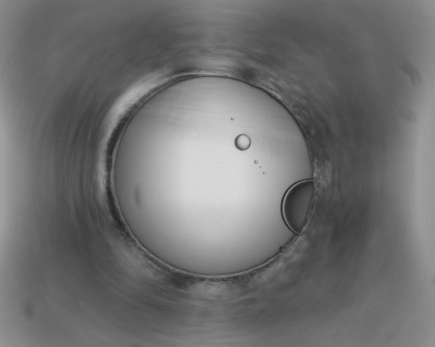 X0000113000294200909101802