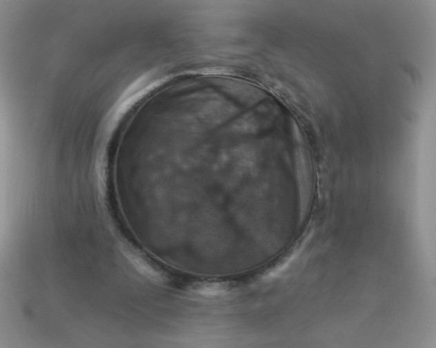 X0000113000295200909101802