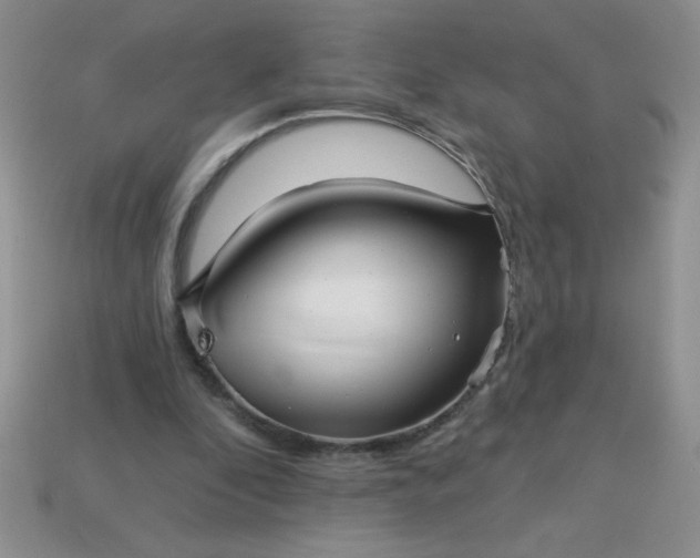 X0000113000296200909101802