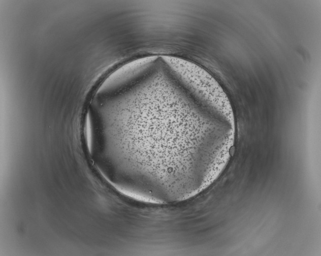 X0000113000297200909101802