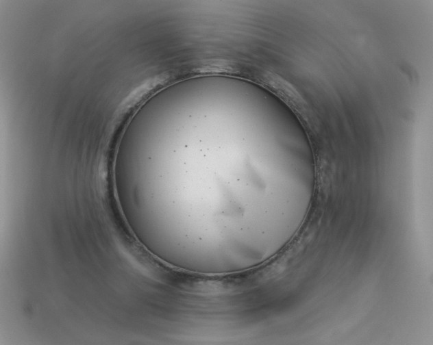 X0000113000298200909101802