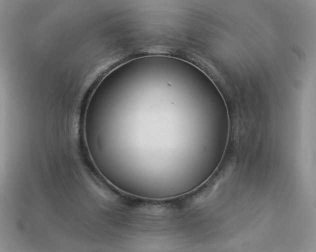 X0000113000299200909101802