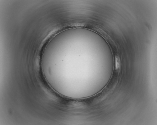 X0000113000300200909101802