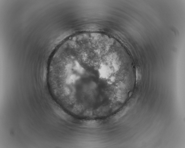 X0000113000301200909101802