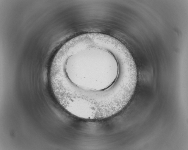 X0000113000302200909101802