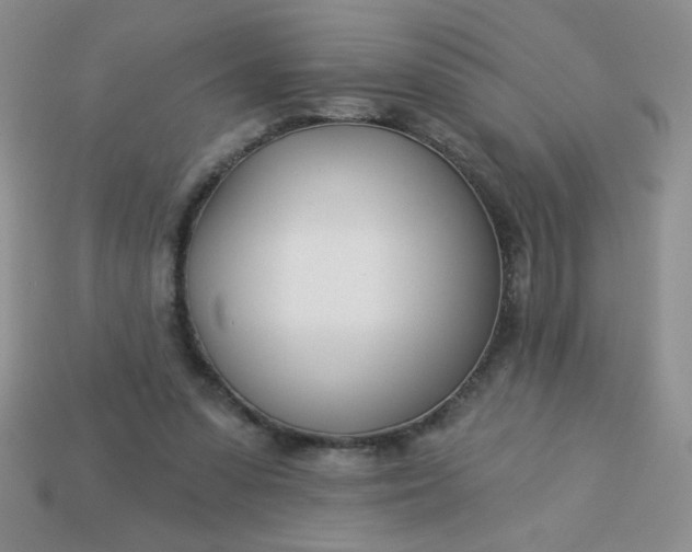 X0000113000303200909101802