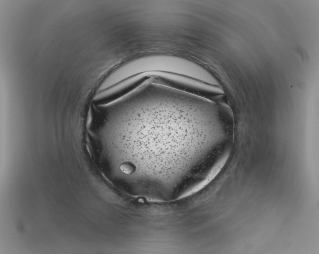 X0000113000305200909101802