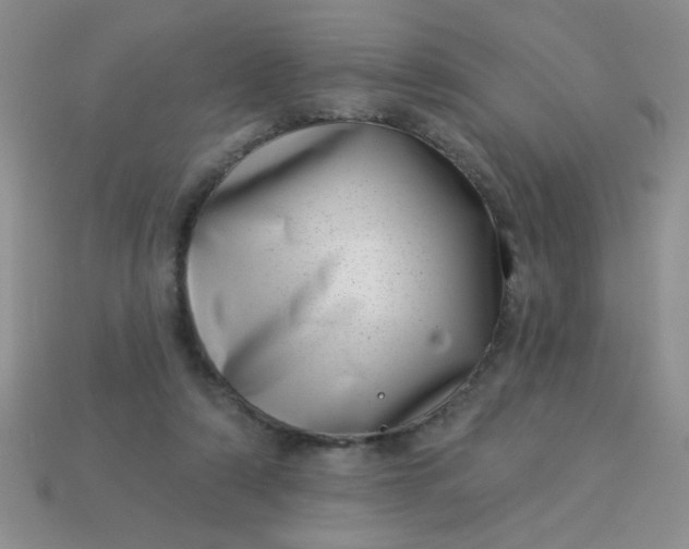 X0000113000306200909101802