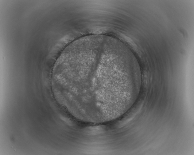 X0000113000307200909101802