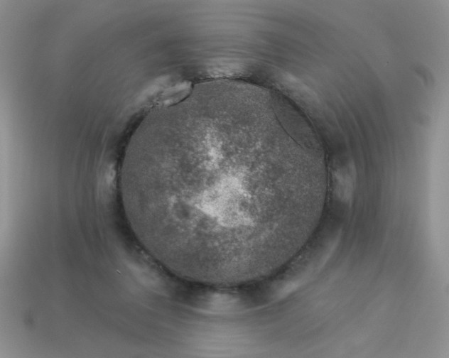 X0000113000308200909101802