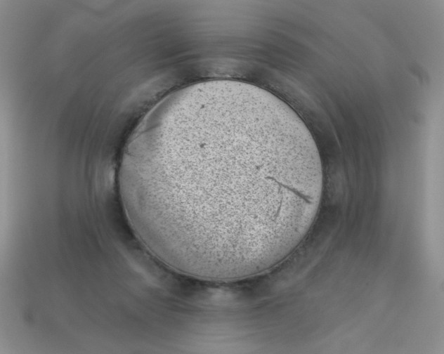 X0000113000310200909101802