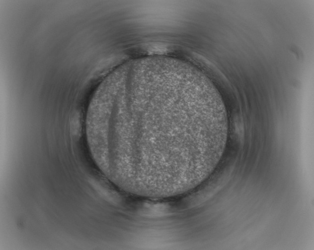 X0000113000311200909101802