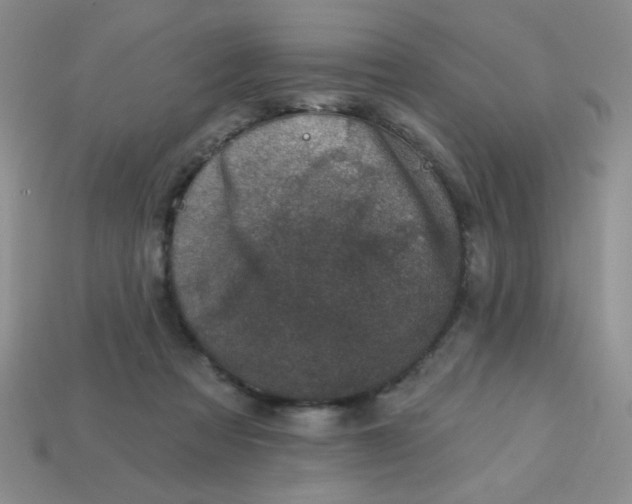 X0000113000313200909101802