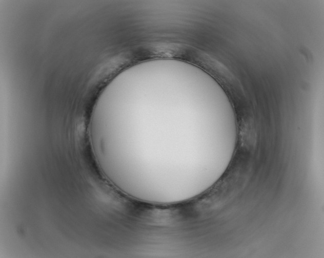 X0000113000314200909101802