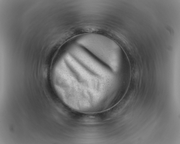 X0000113000315200909101802