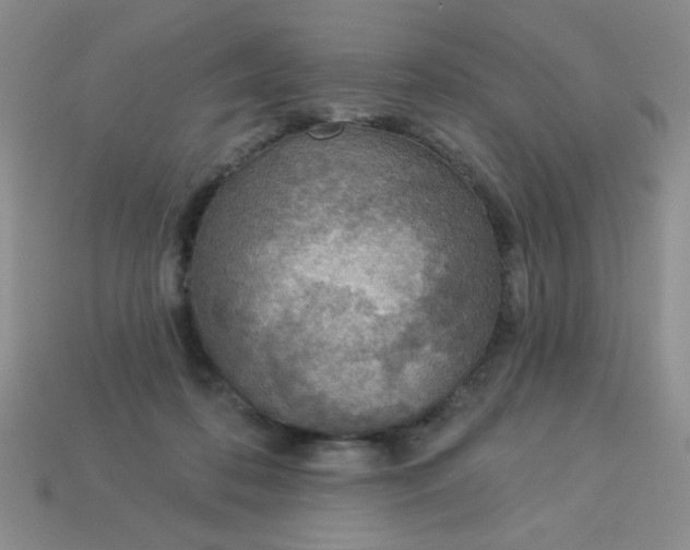 X0000113000316200909101802