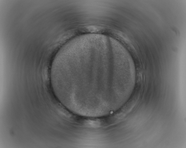 X0000113000317200909101802