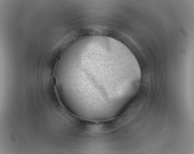 X0000113000318200909101802