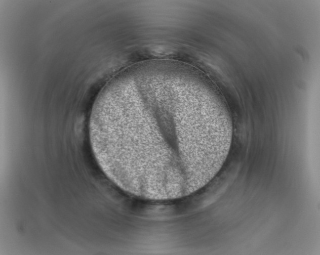 X0000113000319200909101802