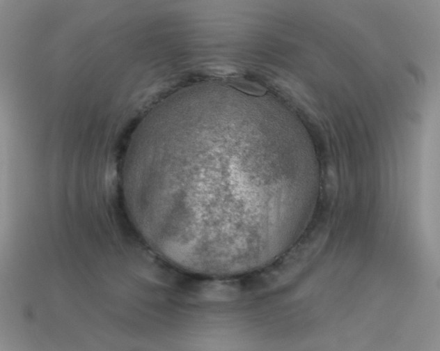 X0000113000320200909101802