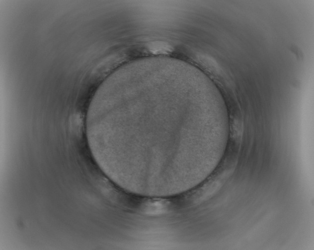 X0000113000321200909101802