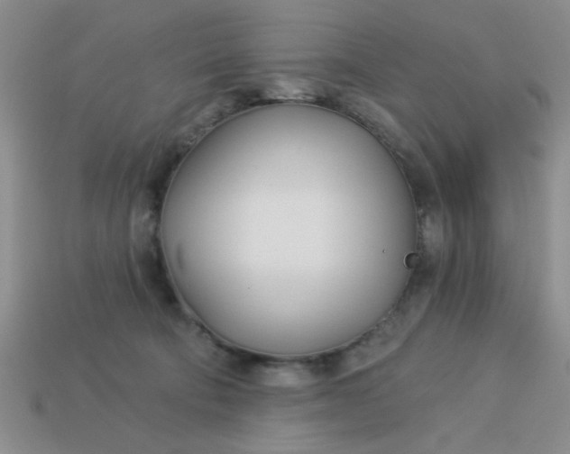 X0000113000322200909101802