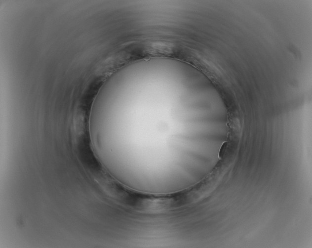 X0000113000323200909101802