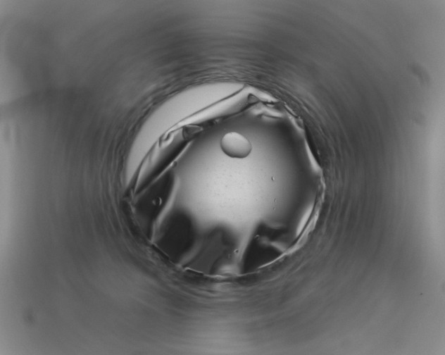 X0000113000324200909101802