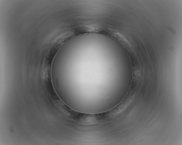 X0000113000325200909101802