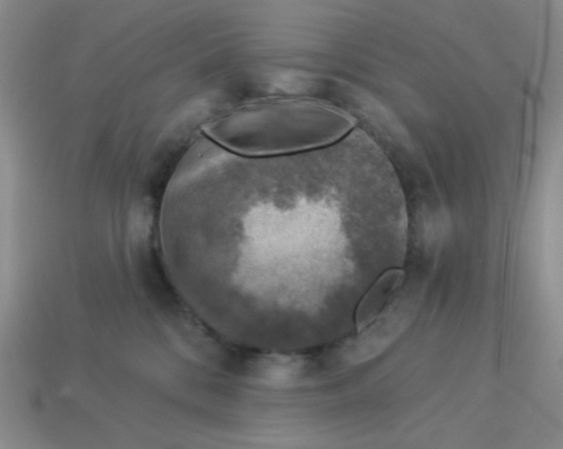 X0000113000328200909101802