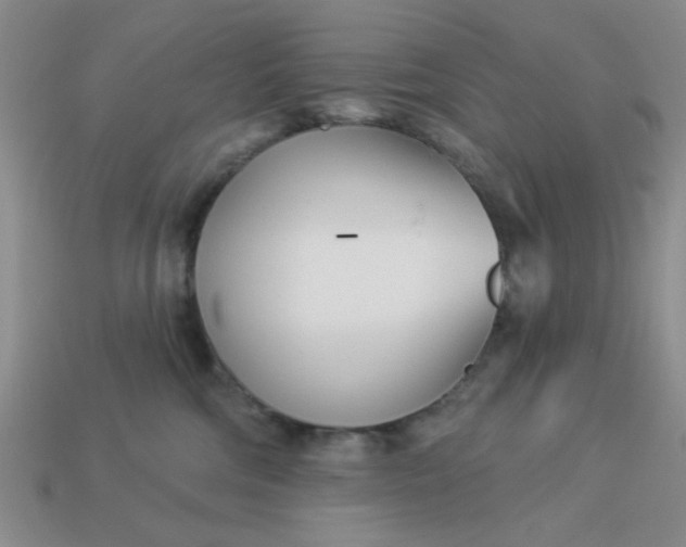 X0000113000330200909101802